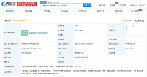 社會(huì)經(jīng)濟(jì)咨詢(xún)服務(wù) 驅(qū)動(dòng)現(xiàn)代商業(yè)決策與發(fā)展的隱形引擎